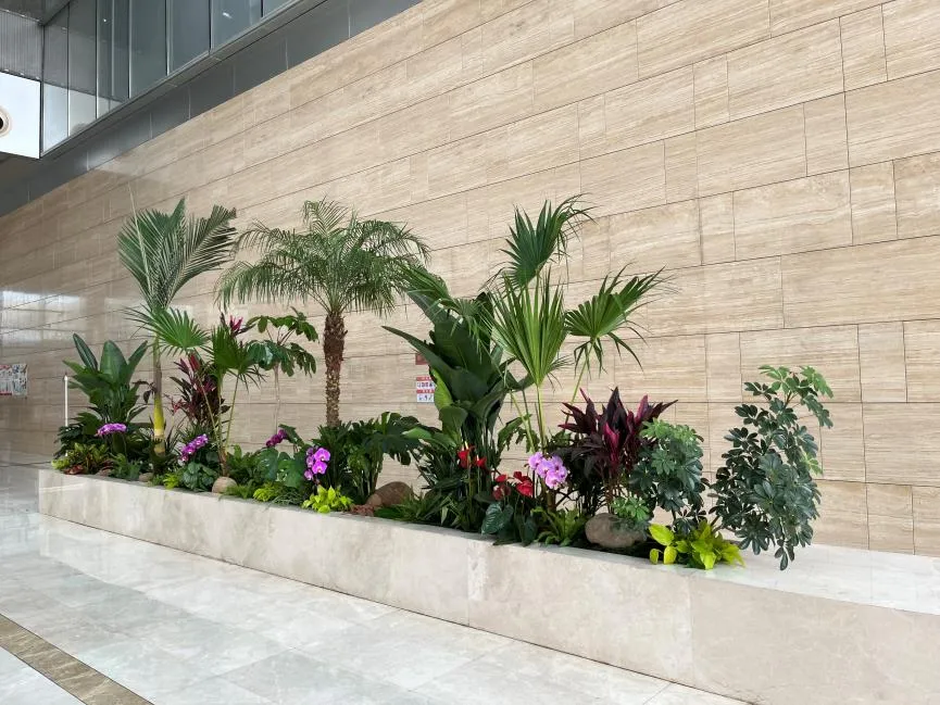 解析江北植物出租价格，别眨眼哦