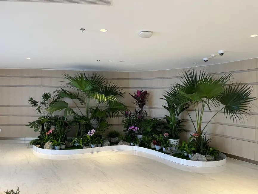 杭州湾花卉租摆公司